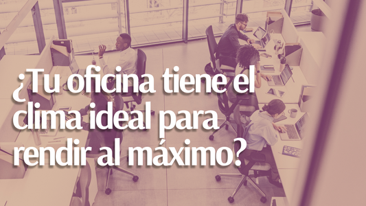 Descubre el clima perfecto para tu oficina: Sillas Ergonómicas y Productividad en la temperatura ideal